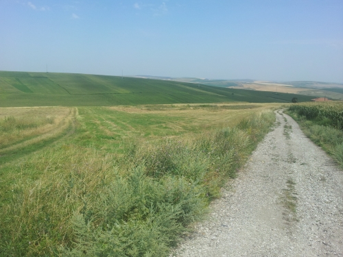 Lichidator judiciar, vand teren - 10.000 mp - Tureni