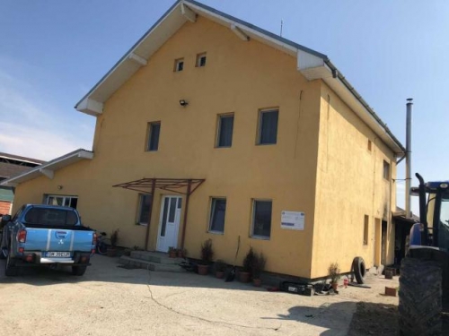 Lichidator judiciar vand ferma bovine - Satu Mare