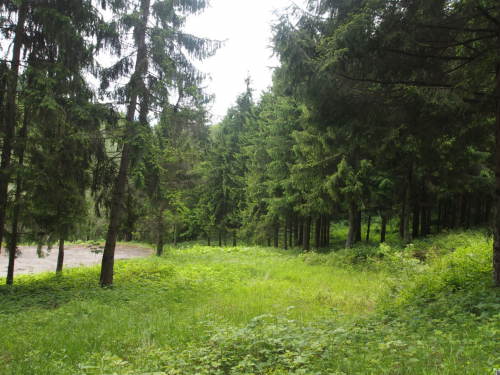 Proprietate imobiliara teren - Runcu