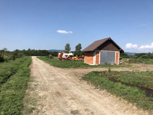Ferma bovine - Satu Mare