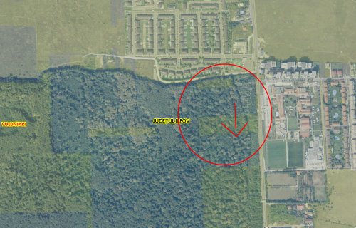 Proprietate imobiliara - teren 10.000 mp, Voluntari