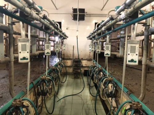 Statie de muls FGM Euro Glass